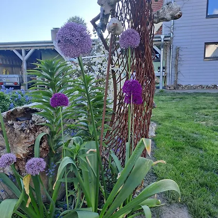 Сasa de vacaciones Gartenhaus In Ruhiger Und Geschützter Südlage *