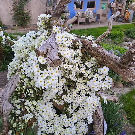 Сasa de vacaciones Gartenhaus In Ruhiger Und Geschützter Südlage *